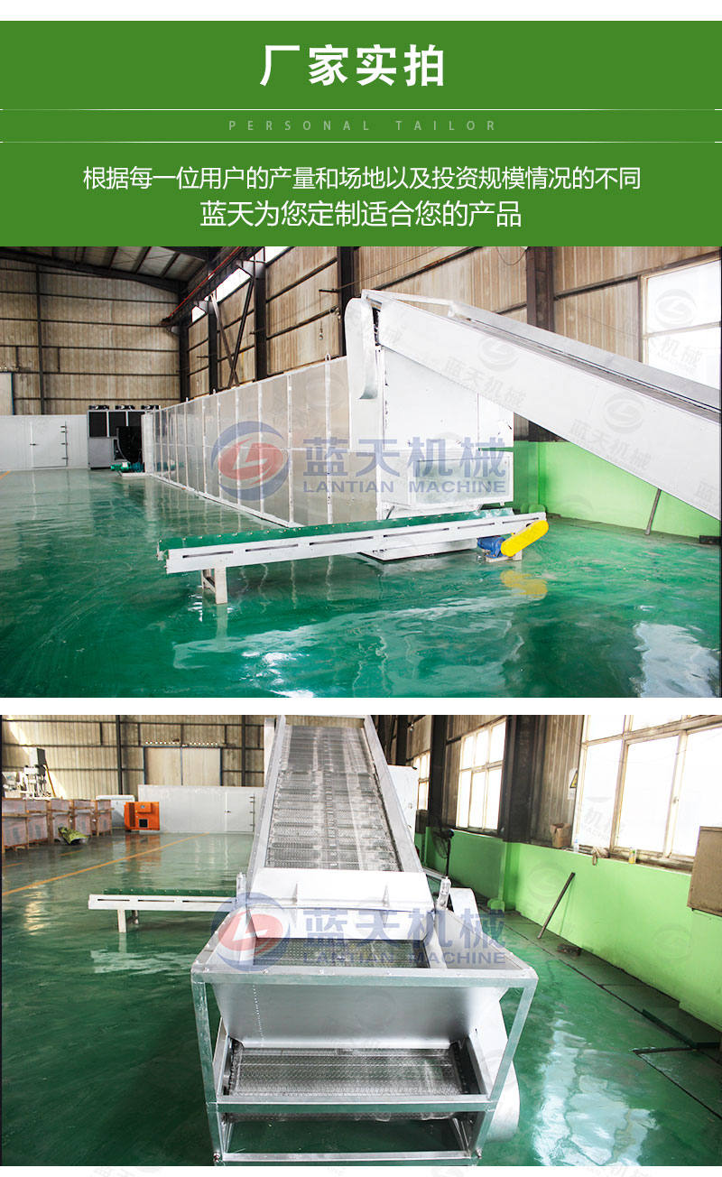 茶葉網(wǎng)帶式烘干機廠(chǎng)家實(shí)拍