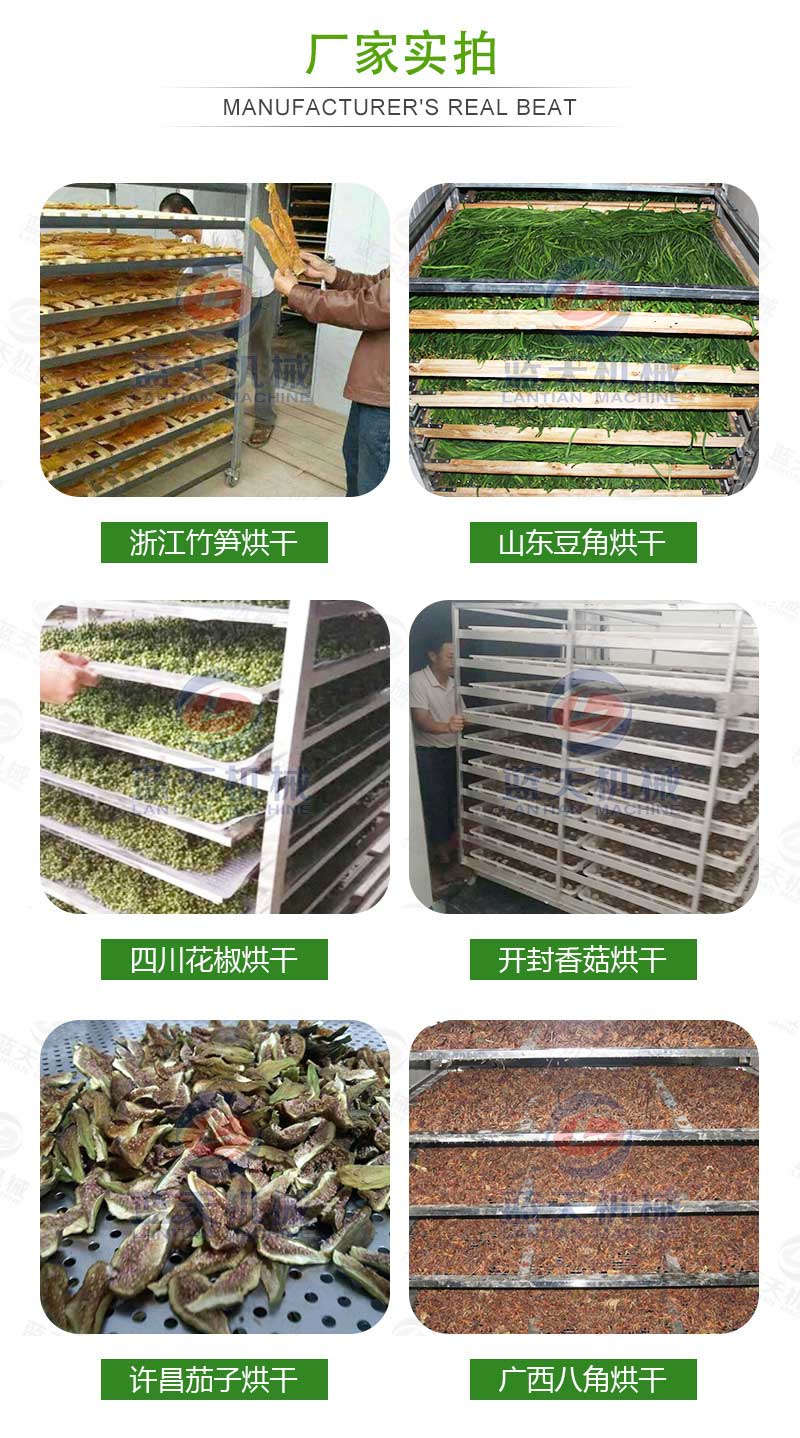 豆角烘干機廠(chǎng)家實(shí)拍
