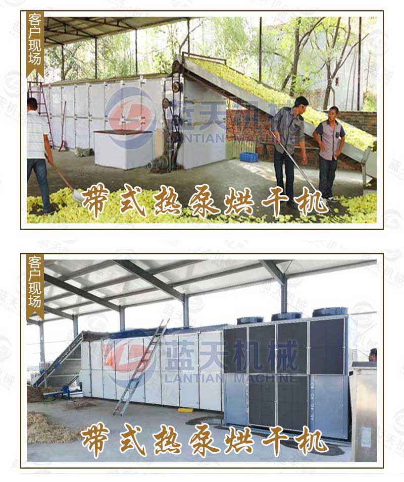 蟲(chóng)草花烘干機私人定制