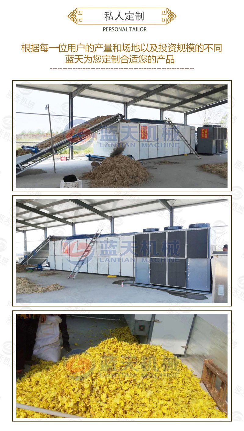 中藥材網(wǎng)帶烘干機私人定制