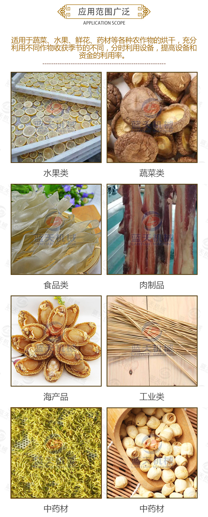 金銀花網(wǎng)帶式烘干機應用范圍