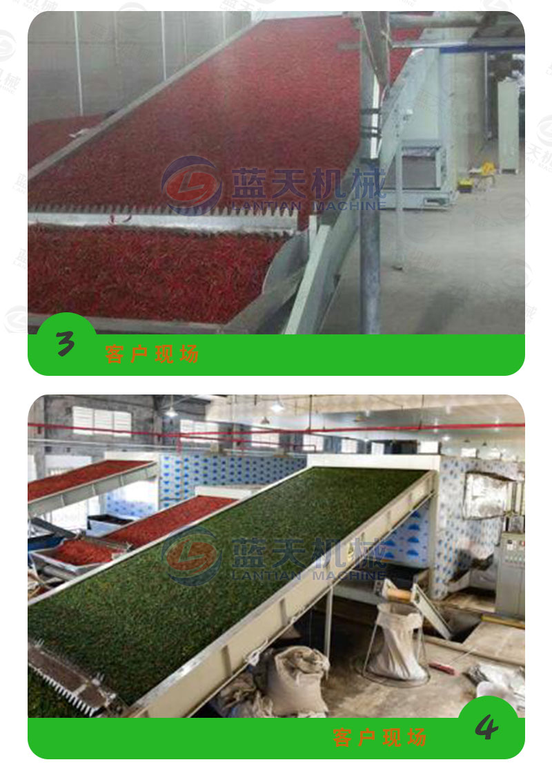 茶葉網(wǎng)帶式烘干機客戶(hù)現場(chǎng)