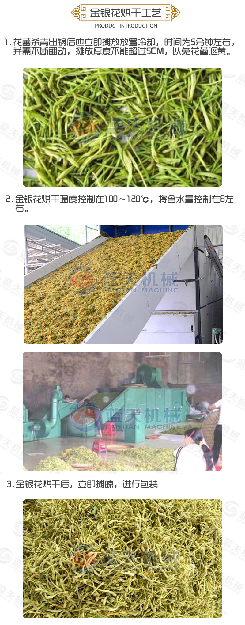 金銀花網(wǎng)帶式烘干機烘干工藝