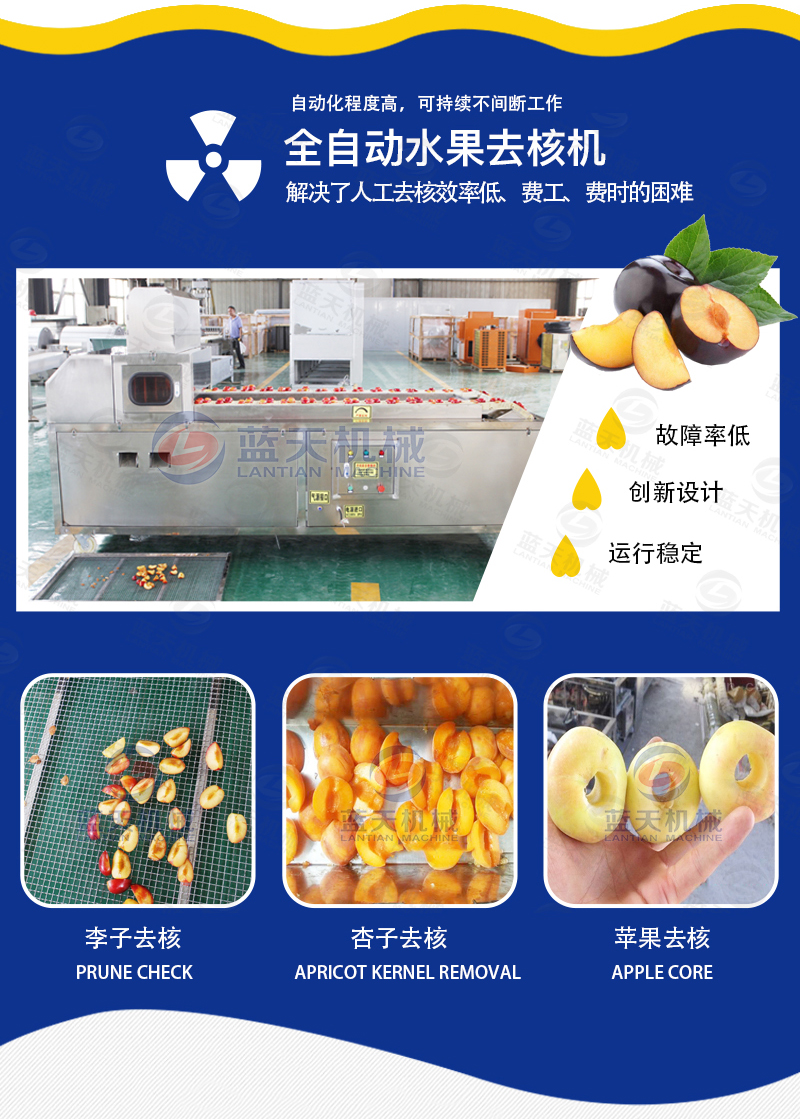 全自動(dòng)水果去核機