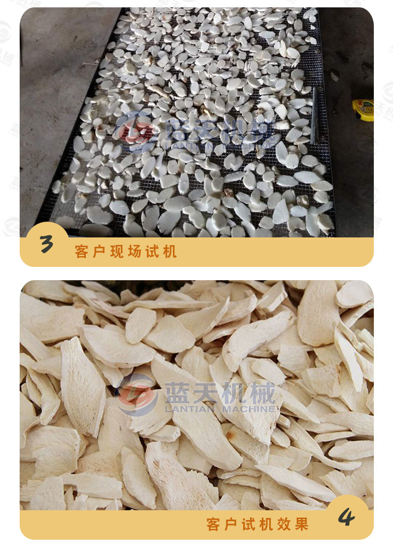 帶式山藥烘干機產(chǎn)家實(shí)拍